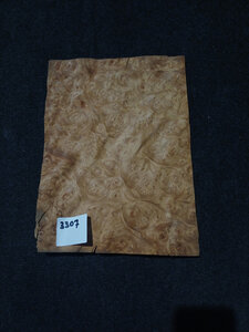 Iepen wortel fineer 31 x 21 - 21 cm | 0.6 mm | 0,0977 m&sup2;