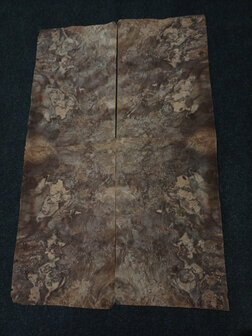 Wortelnoten fineer 39 x 25 - 25 cm | 0.6 mm | 0,1463 m&sup2;