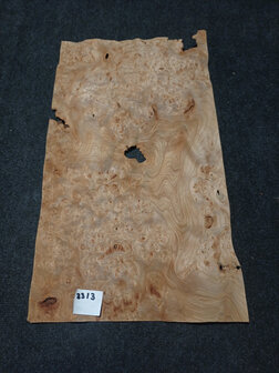Iepen wortel fineer 66 x 37 - 37 cm | 0.6 mm | 0,3663 m&sup2;
