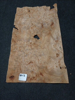 Iepen wortel fineer 66 x 37 - 37 cm | 0.6 mm | 0,3663 m&sup2;