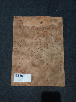 Iepen wortel fineer 32 x 23 - 23 cm | 0.6 mm | 0,1104 m&sup2;
