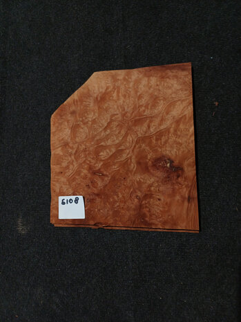 Madrona fineer 28/19 x 25 - 25 cm | 0.6 mm | 0,0614 m&sup2;